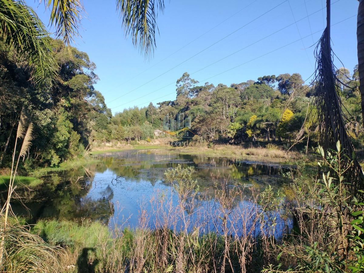 Área, 121000m², à venda - Nilson Lacerda Filho Corretor de Imóveis