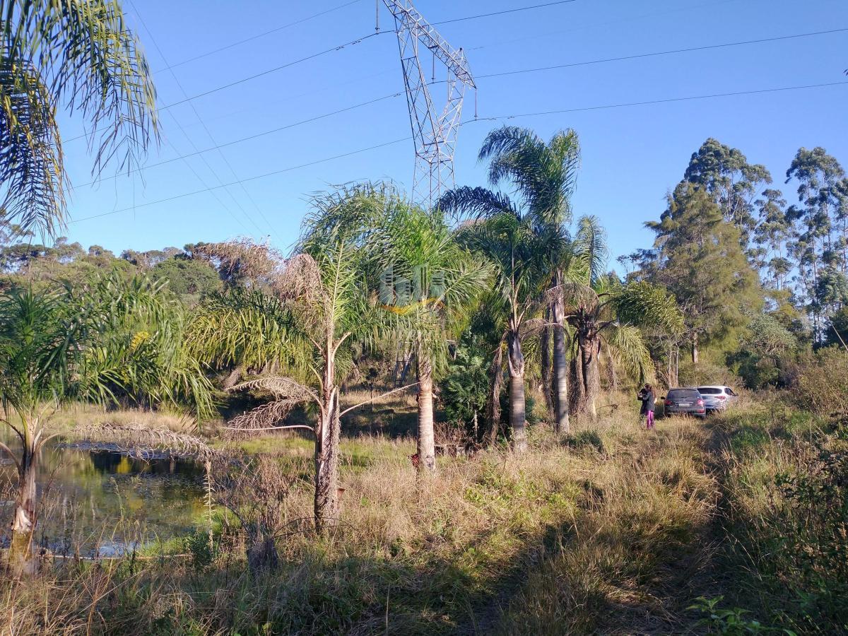 Área, 121000m², à venda - Nilson Lacerda Filho Corretor de Imóveis