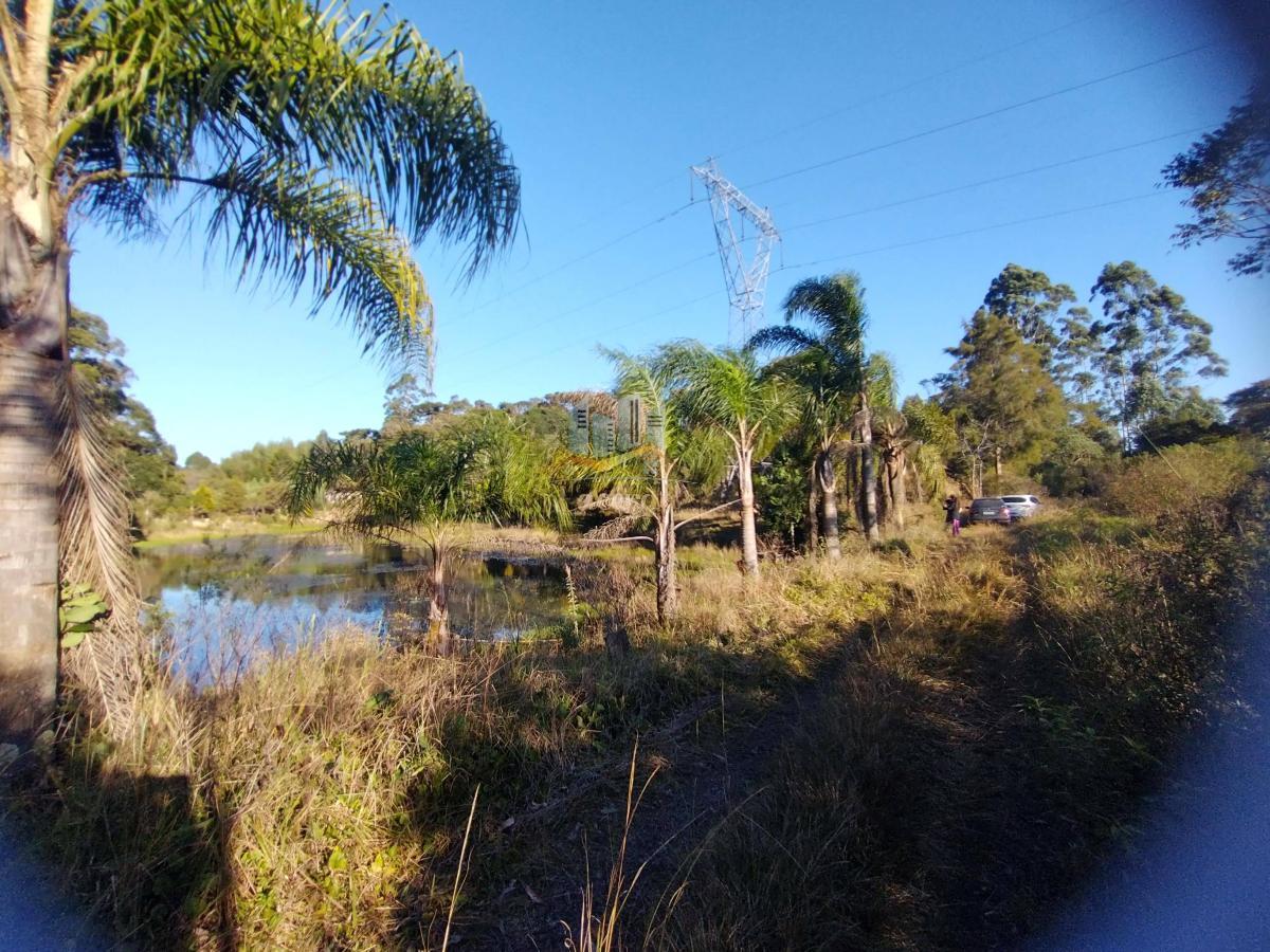 Área, 121000m², à venda - Nilson Lacerda Filho Corretor de Imóveis