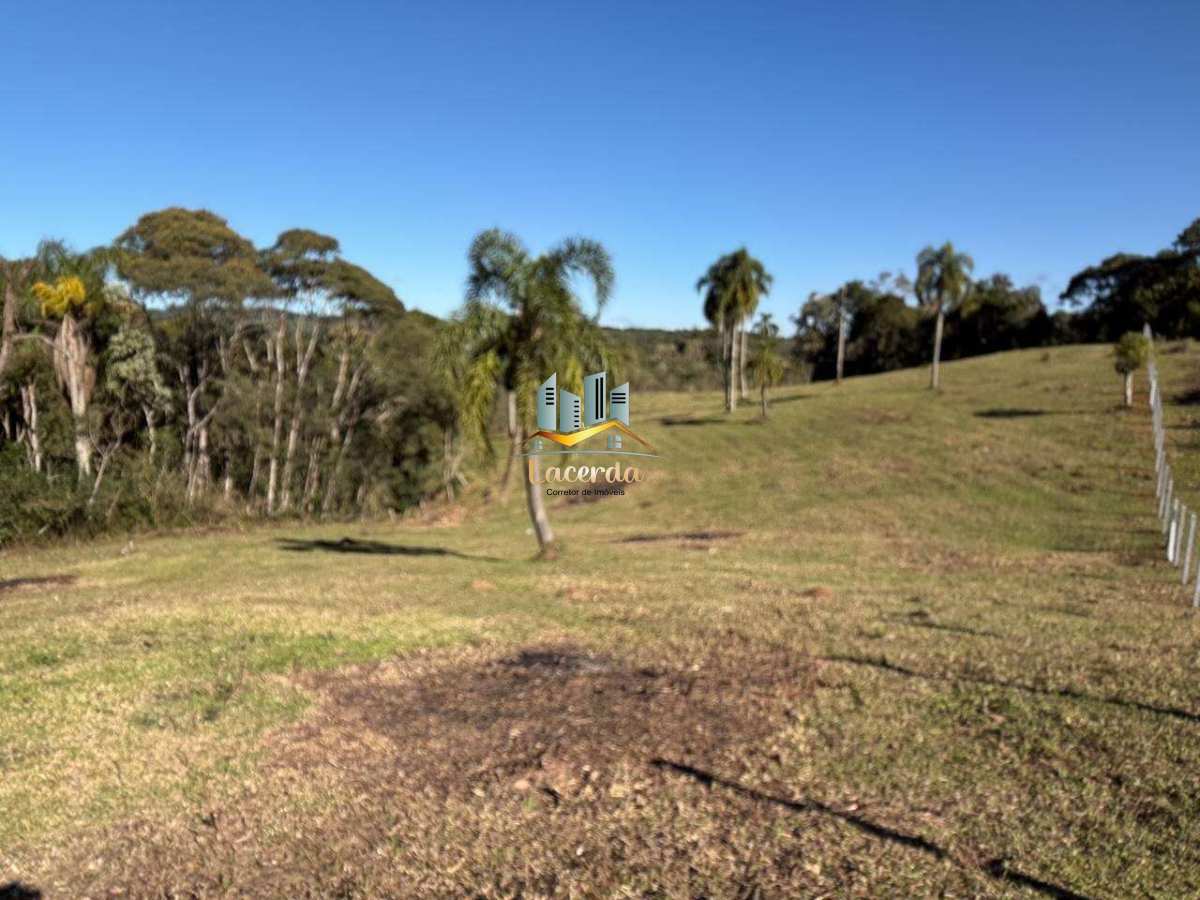 Área à venda com 20 mil metros em Piraquara. - Nilson Lacerda Filho Corretor de Imóveis