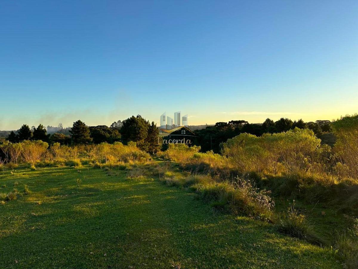 Área, 141 mil metrosm², à venda - Nilson Lacerda Filho Corretor de Imóveis