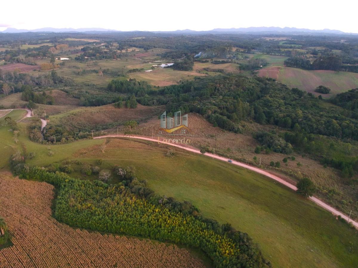 Área, 141 mil metrosm², à venda - Nilson Lacerda Filho Corretor de Imóveis