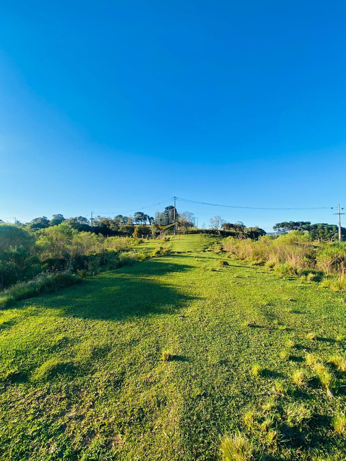 Área, 141 mil metrosm², à venda - Nilson Lacerda Filho Corretor de Imóveis