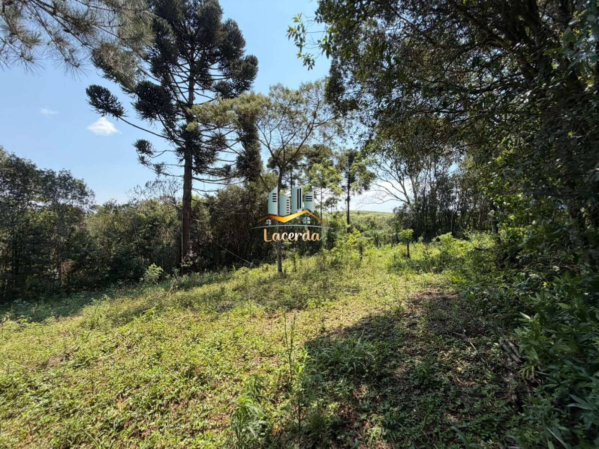 Área à venda no bairro Planta Deodoro - Nilson Lacerda Filho Corretor de Imóveis
