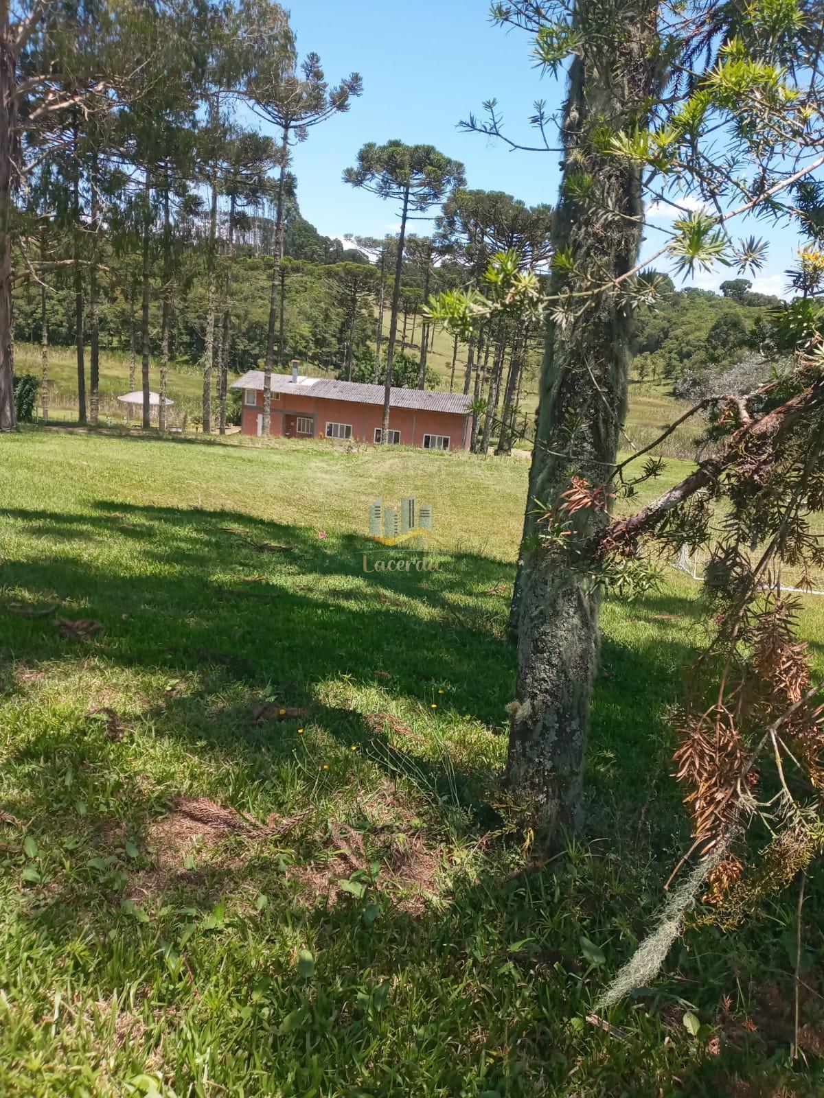 Chácara, 24000m², à venda - Nilson Lacerda Filho Corretor de Imóveis