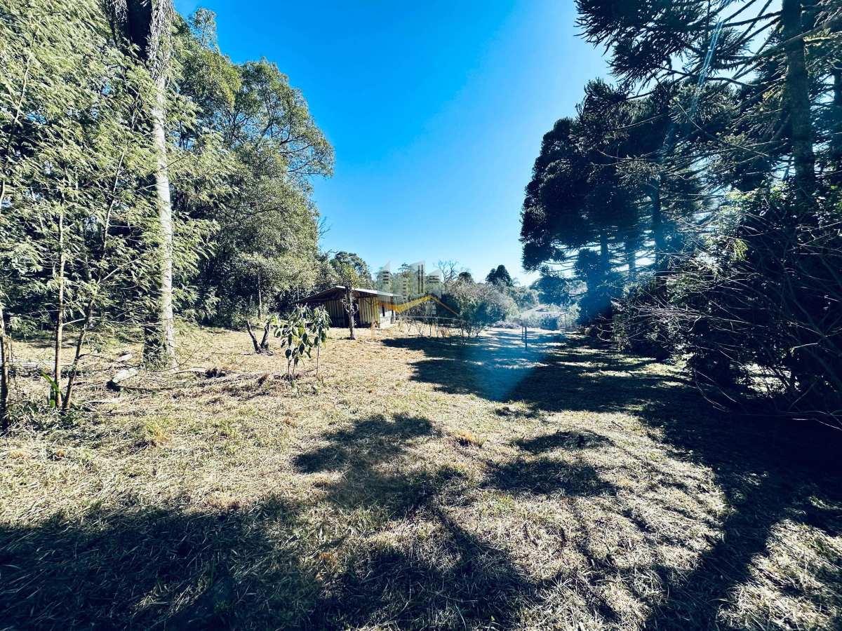 Lindíssima chácara à venda em Piraquara!!! - Nilson Lacerda Filho Corretor de Imóveis