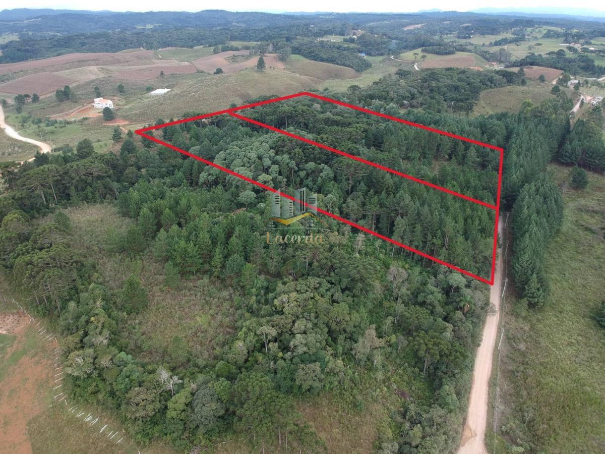 Ótima chácara à venda! - Nilson Lacerda Filho Corretor de Imóveis