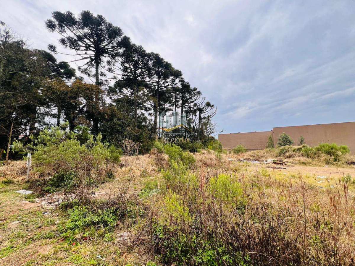 Ótimo terreno a venda no centro de Piraquara! - Nilson Lacerda Filho Corretor de Imóveis