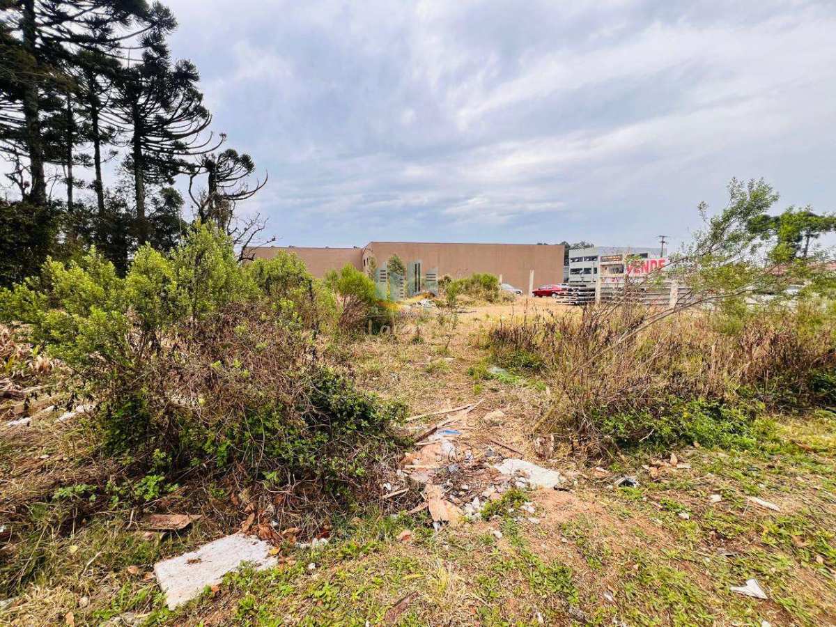 Ótimo terreno a venda no centro de Piraquara! - Nilson Lacerda Filho Corretor de Imóveis